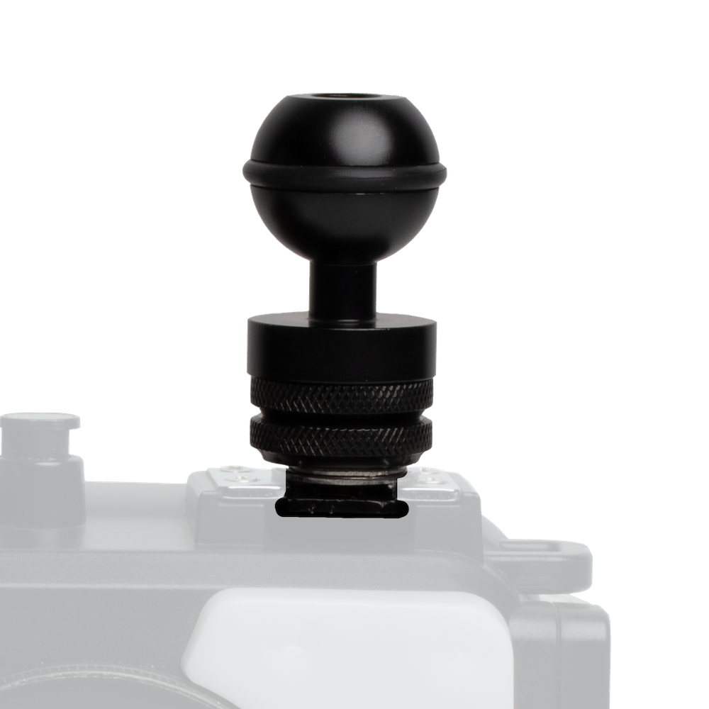 Dive Lantern Cold Shoe Ball Mount