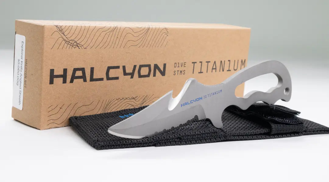 Halcyon Explorer knife and angled "H" sheath