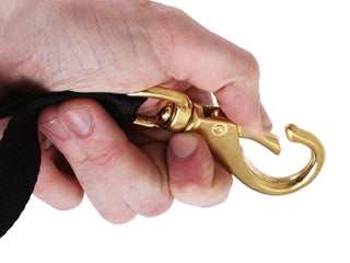 Trident Brass Catch Bag snap & belt loop